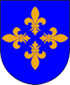 Enköping vapen