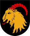 Ljusdal vapen